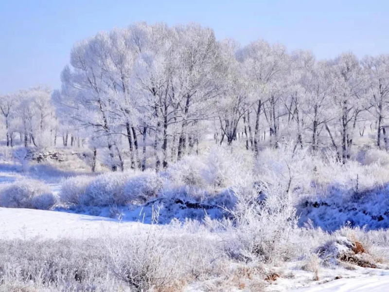 河北唐山半畝方塘冰雪嘉年華電子票系統公司.png