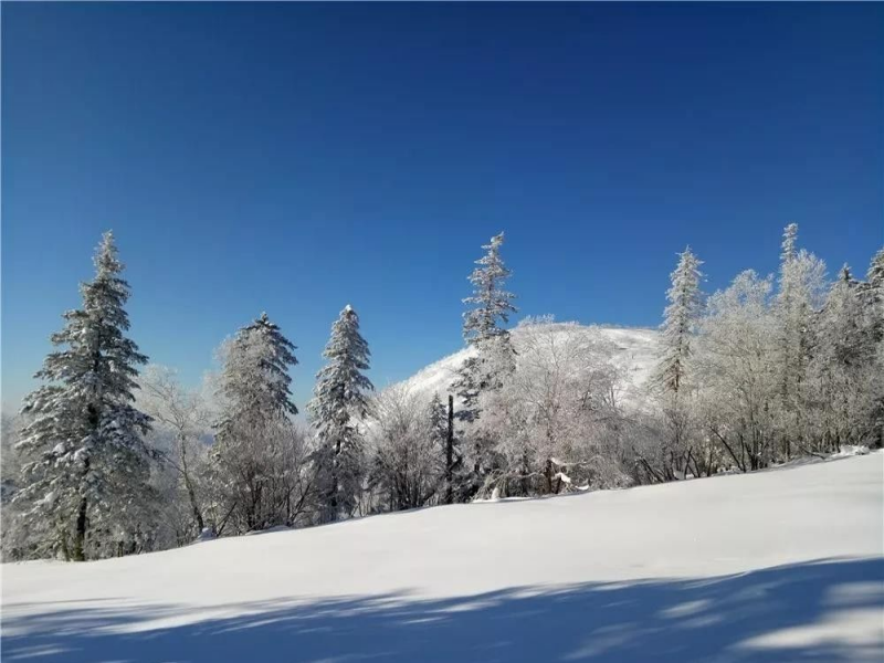 河北秦皇島山海國際冰雪大世界押金系統功能.png