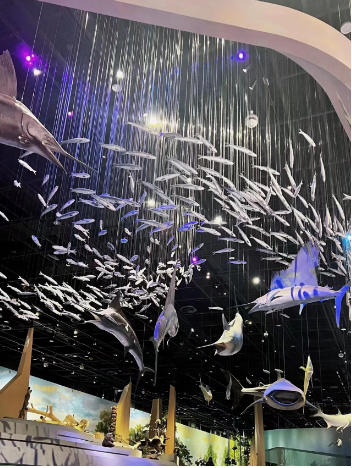 湖北武漢自然博物館分時預約系統.png