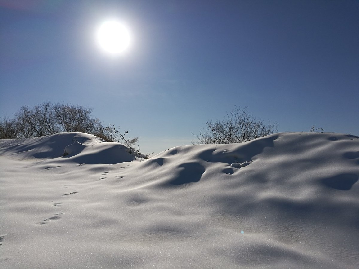 天津綠動雪鄉(xiāng)票務(wù)分銷系統(tǒng)功能需求.jpg
