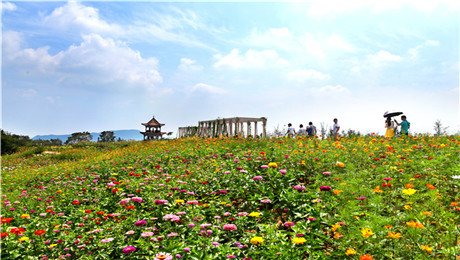 旅游景區多商戶多業態小程序系統管理功能.jpg