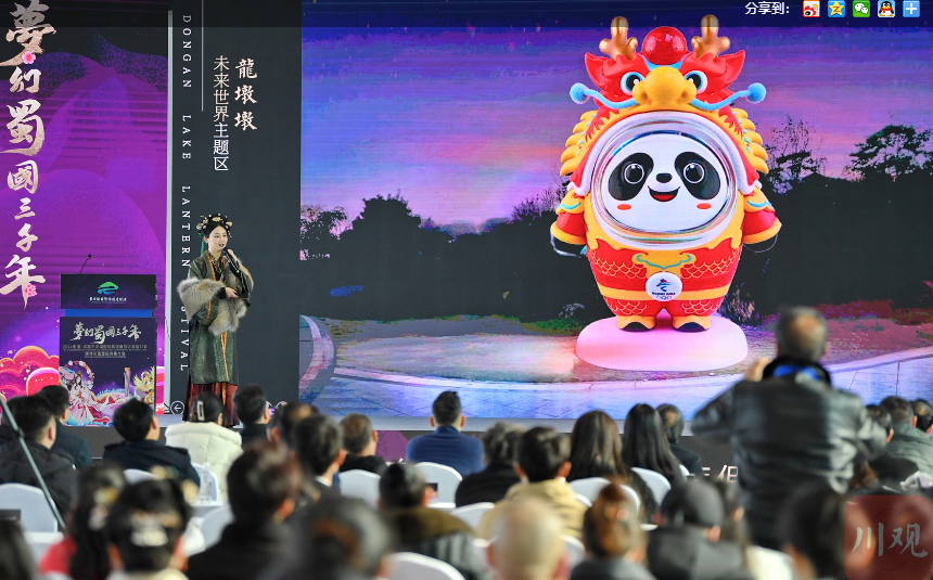 成都東安湖首屆國際燈會廟會云票務管理系統窗口收銀管理.png
