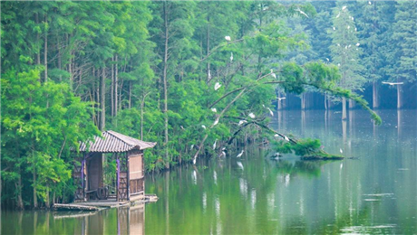 旅游景區(qū)景點(diǎn)售票系統(tǒng)功能.png