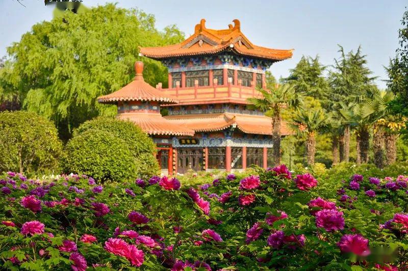 河南洛陽市牡丹公園綜合管理系統(tǒng)痛點.jpeg
