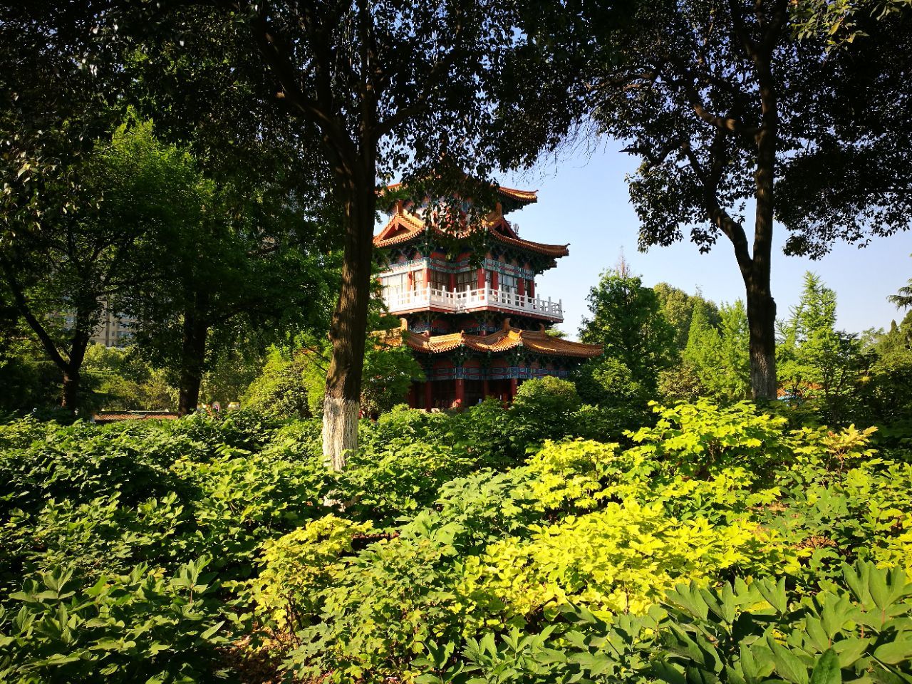 河南洛陽(yáng)王城公園介紹.jpg