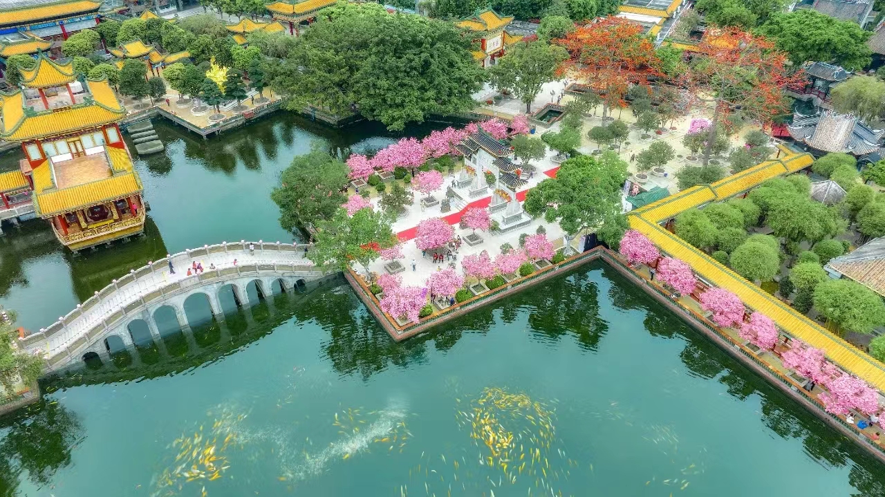 廣州華南國家植物園電子年卡系統(tǒng)功能.jpg