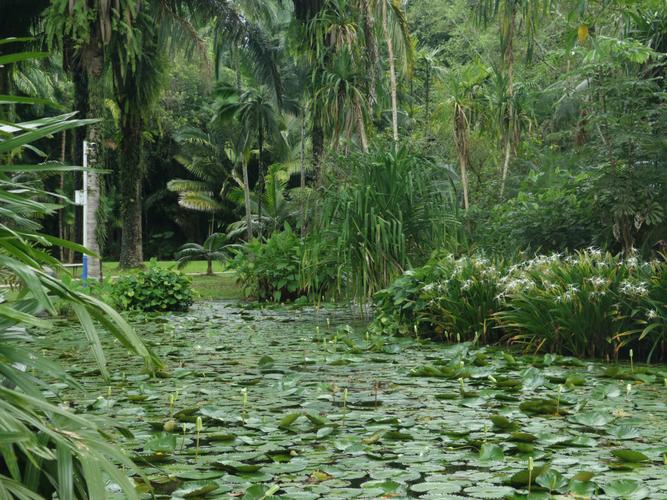 云南中科院西雙版納熱帶植物園票務管理系統價格 (1).jpeg