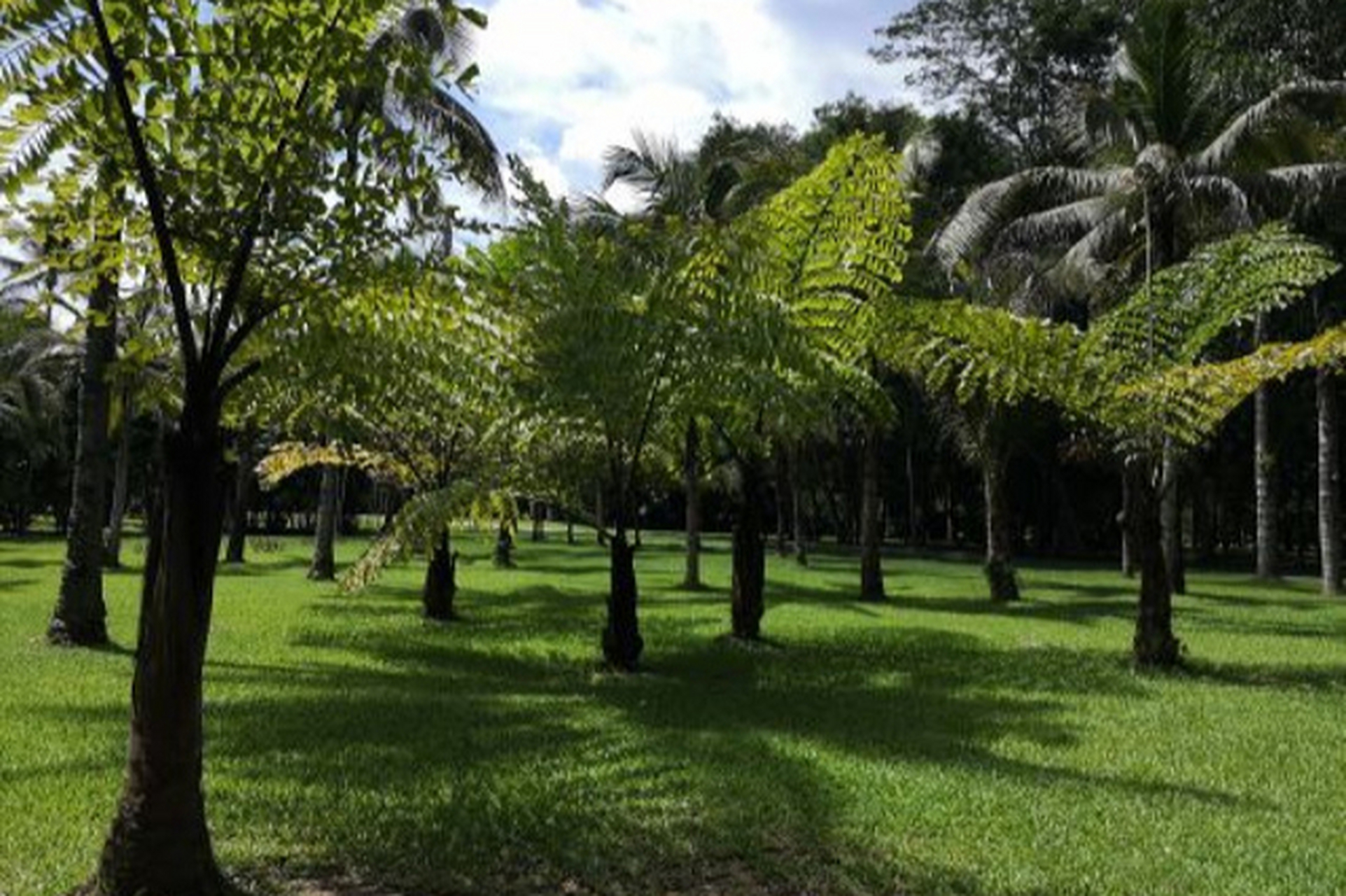 云南中科院西雙版納熱帶植物園票務管理系統哪家強.jpeg