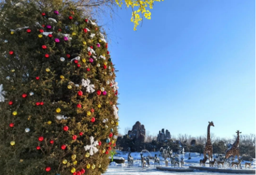 北京野生動(dòng)物園景區(qū)智能導(dǎo)覽系統(tǒng)價(jià)格.png