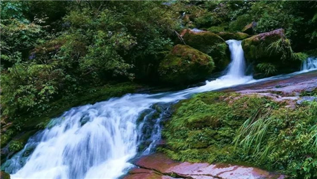 智慧景區(qū)旅游平臺(tái)自動(dòng)售檢票系統(tǒng)的深度應(yīng)用.png