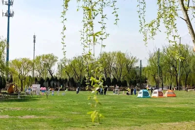 游樂園電子票系統(tǒng)二消項目多樣化管理方案.jpg
