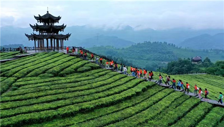游樂園管理系統(tǒng)優(yōu)化旅游服務(wù)體驗(yàn)5.jpg