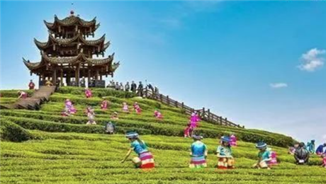 微信圖片游樂園管理系統(tǒng)優(yōu)化旅游服務(wù)體驗(yàn).png