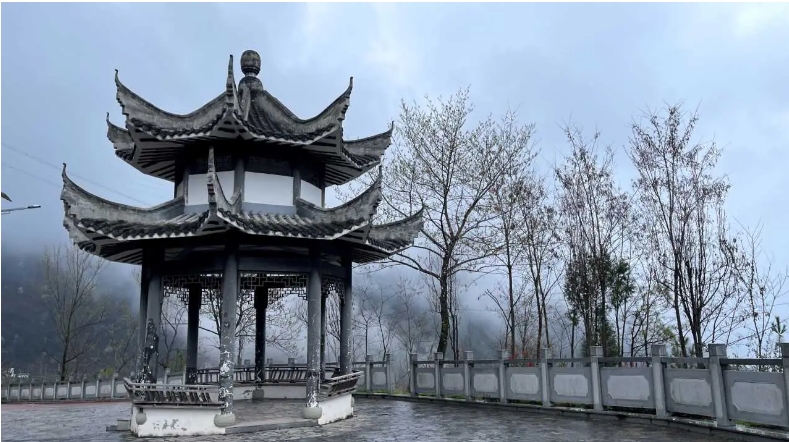 江西廬山遺址公園檢票閘機管理系統(tǒng)功能.png