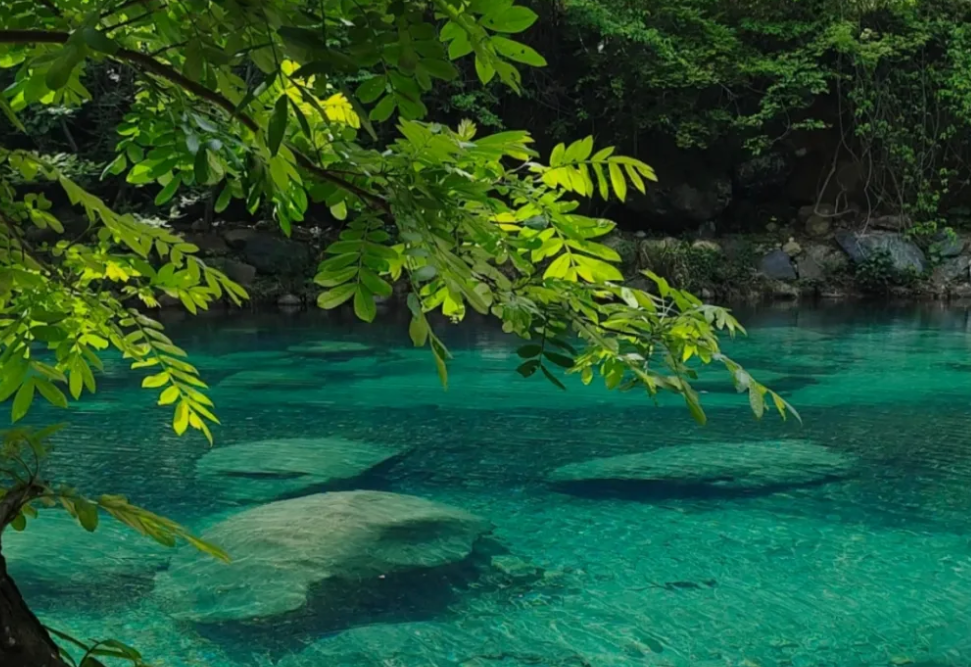 內(nèi)蒙古自治區(qū)興安盟阿爾山·柴河旅游景區(qū)票務(wù)管理系統(tǒng)價格.png