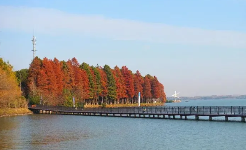 上海市崇明區(qū)西沙明珠湖景區(qū)景區(qū)票務(wù)管理系統(tǒng)公司.png