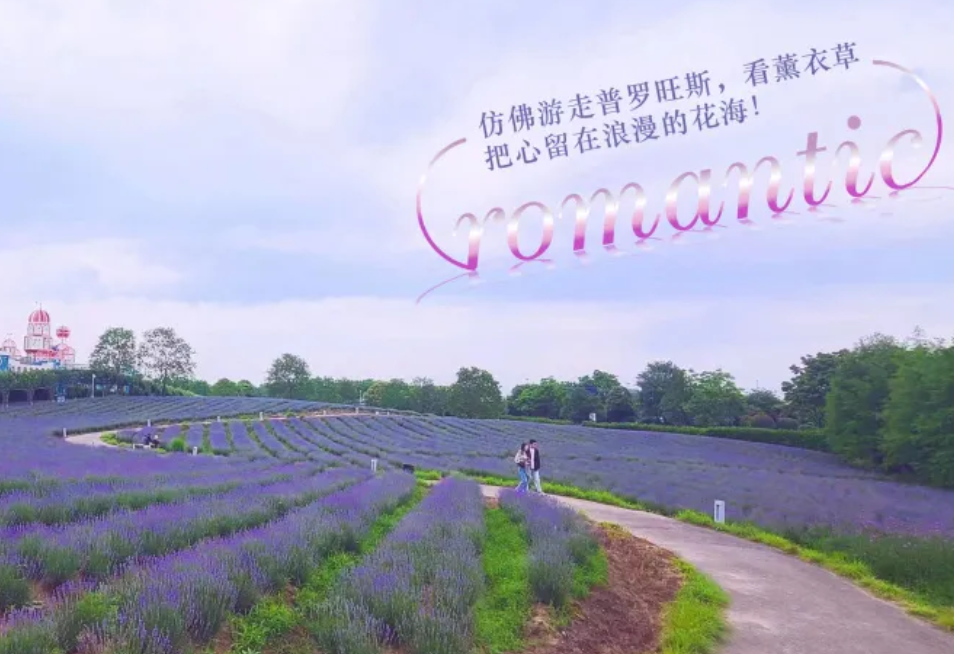 上海薰衣草公園票務(wù)管理系統(tǒng)方案.png