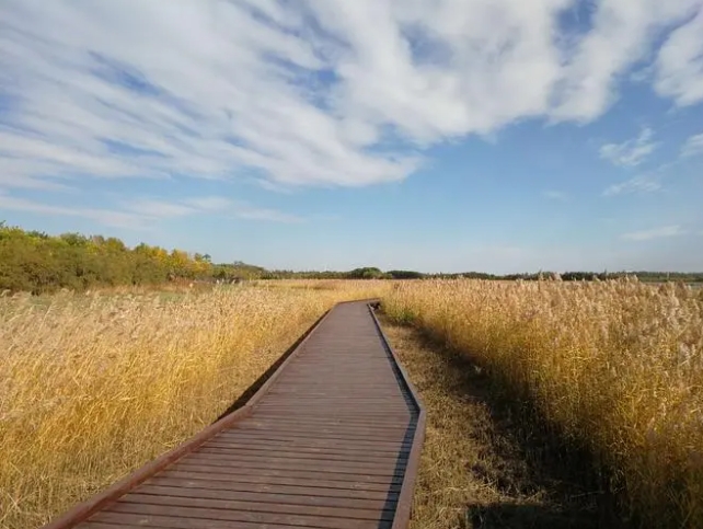 青海西寧郊野公園智能導(dǎo)覽管理系統(tǒng)價格.png