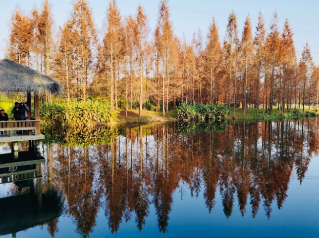 青海西寧郊野公園多業(yè)態(tài)綜合管理系統(tǒng)多少錢.png