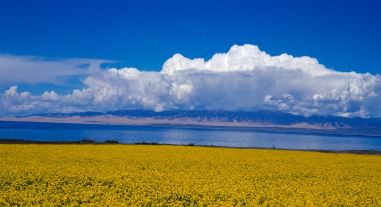 青海西寧市青海湖景區(qū)簡介及需求.png