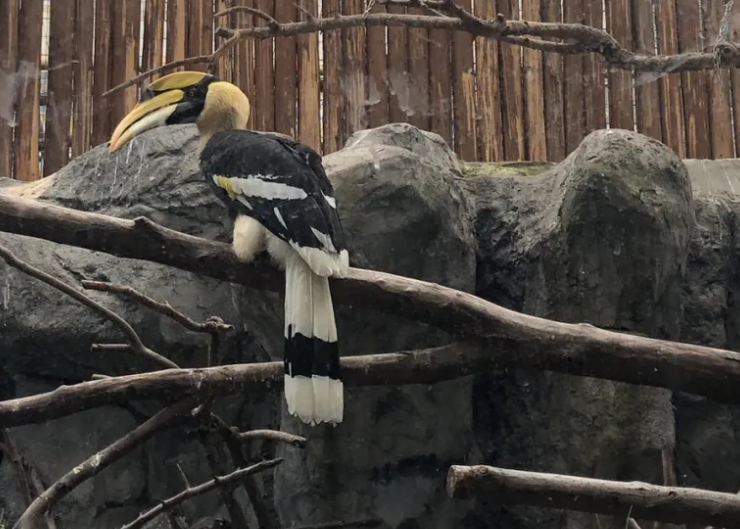 四川成都動物園綜合智能票務(wù)管理系統(tǒng)公司.png