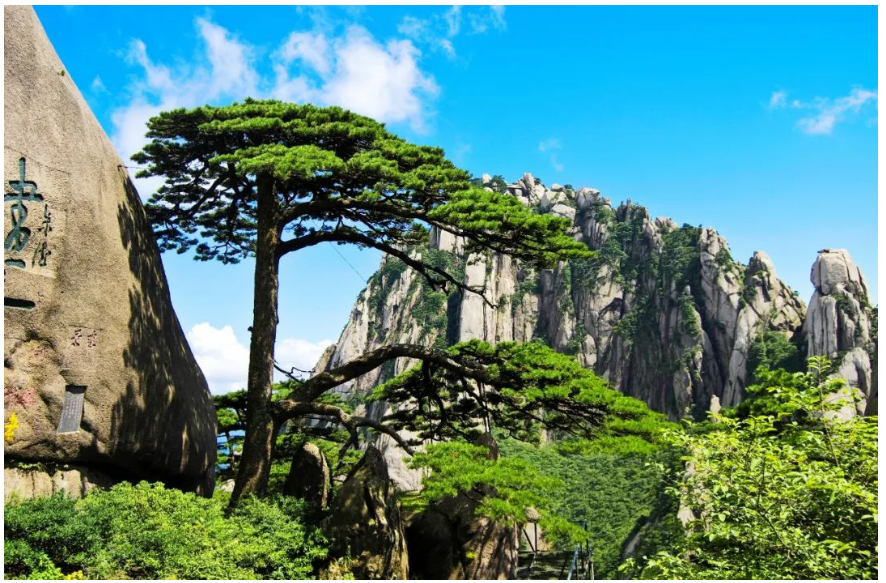 安徽黃山風(fēng)景區(qū)綜合管理系統(tǒng)痛點.PNG