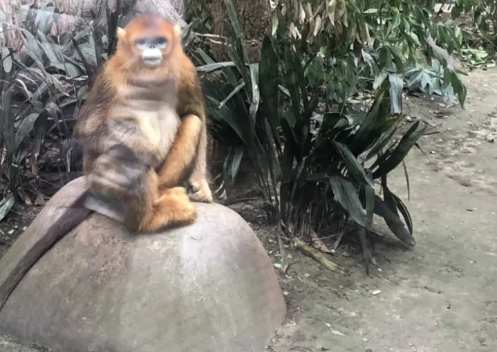 四川成都動物園綜合智能票務(wù)管理系統(tǒng)多少錢.png