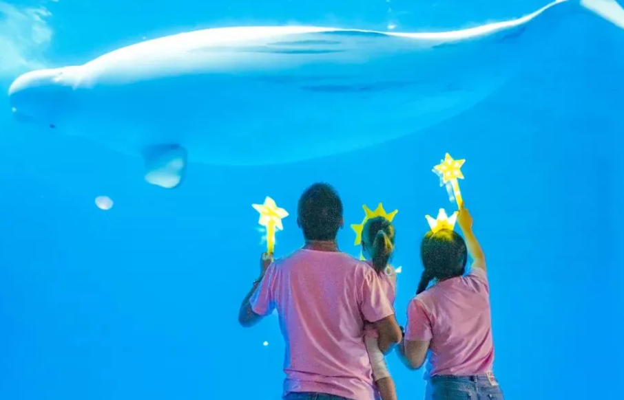 四川成都海昌極地海洋世界票務(wù)系統(tǒng)公司.png