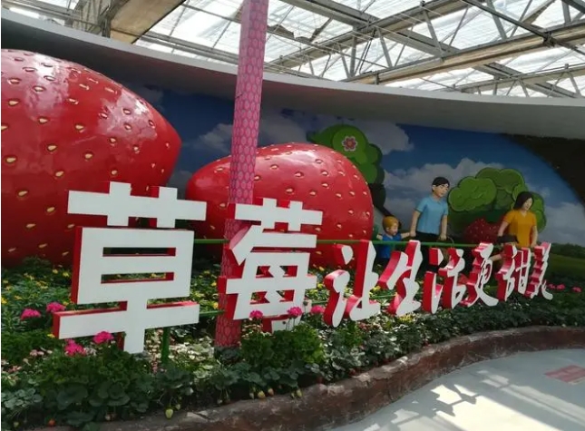 北京市昌平農(nóng)業(yè)嘉年華多業(yè)態(tài)管理系統(tǒng)服務(wù)商.png