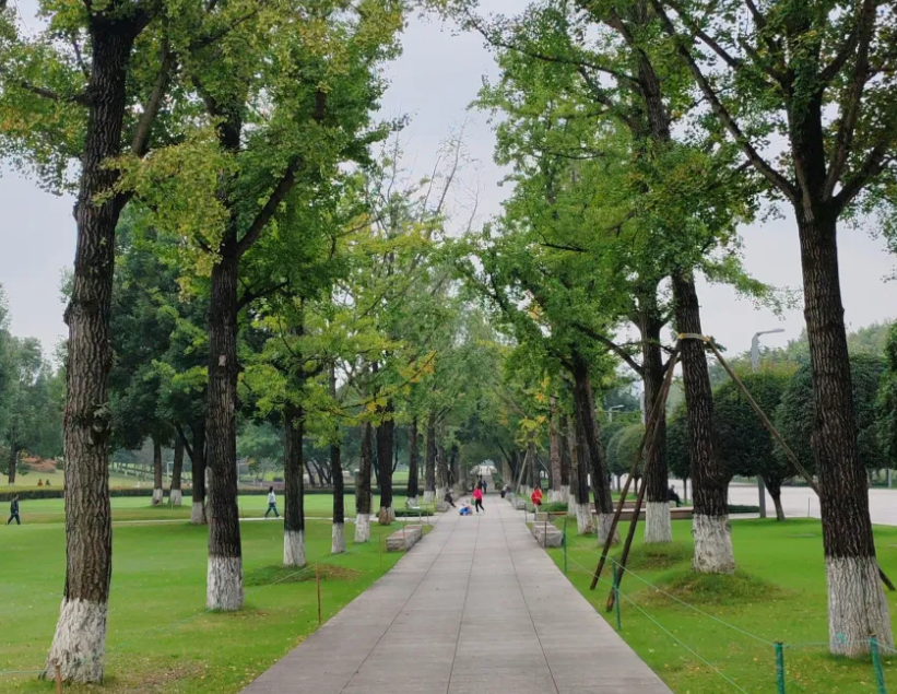 重慶中央公園游船碼頭押金系統公司.png