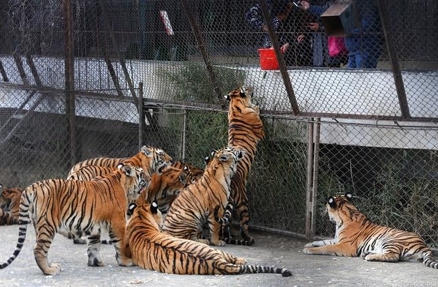 北京八達嶺長城野生動物園OTA對接管理系統功能.png
