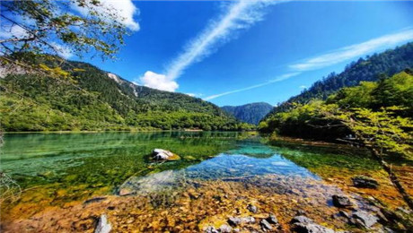 景區(qū)綜合管理系統(tǒng)實現(xiàn)門票、餐飲零售集中服務(wù).jpg