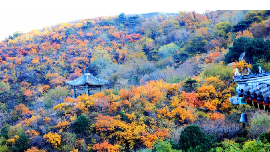 北京香山公園的票務系統方案.png