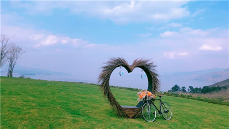 景區(qū)票務系統(tǒng)價格差異，以三輥閘機為例反映產(chǎn)品功能、質(zhì)量和服務水平不同.png