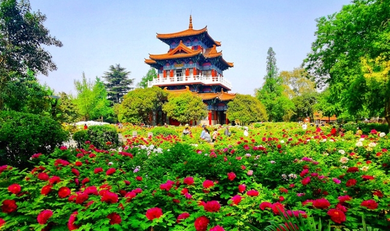 河南洛陽國家牡丹園票務(wù)OTA對接管理系統(tǒng)多少錢.png