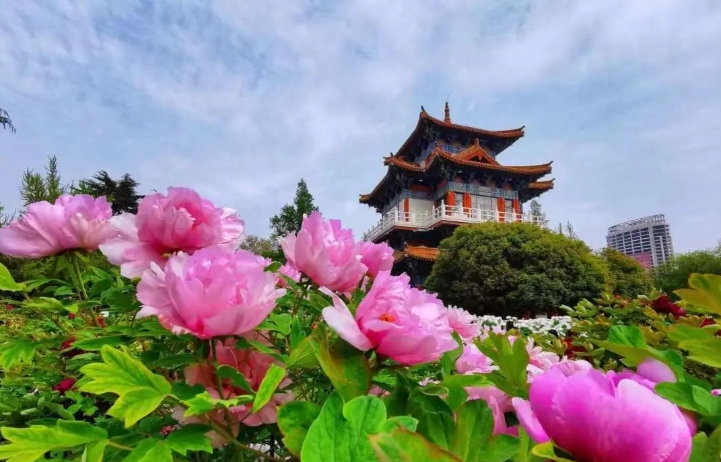 河南洛陽(yáng)王城公園票務(wù)OTA對(duì)接管理系統(tǒng)價(jià)格?.png