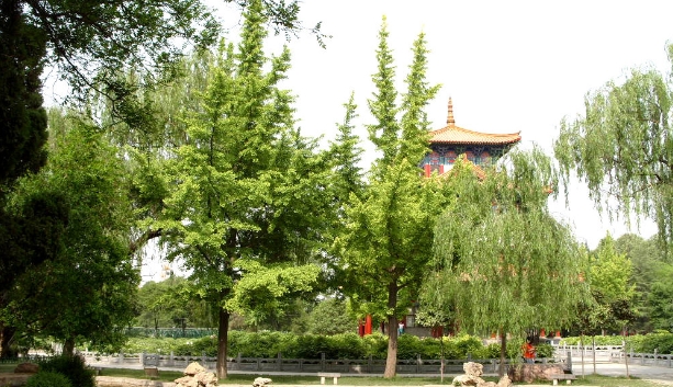 河南洛陽(yáng)王城公園票務(wù)OTA對(duì)接管理系統(tǒng)哪家公司強(qiáng)?1.png