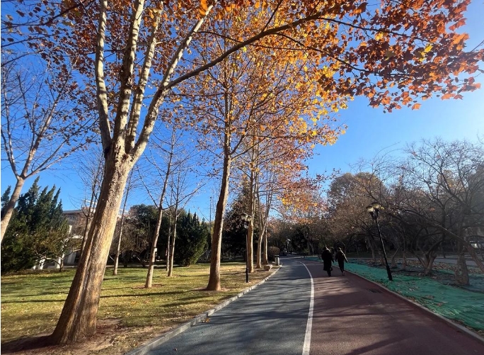 河北石家莊世紀(jì)公園票務(wù)OTA分銷系統(tǒng)解決方案.png