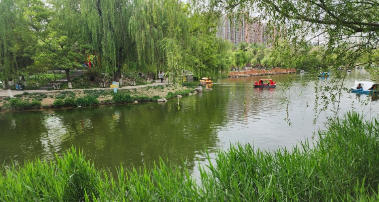 河北石家莊長安公園票務管理系統(tǒng)服務商.png