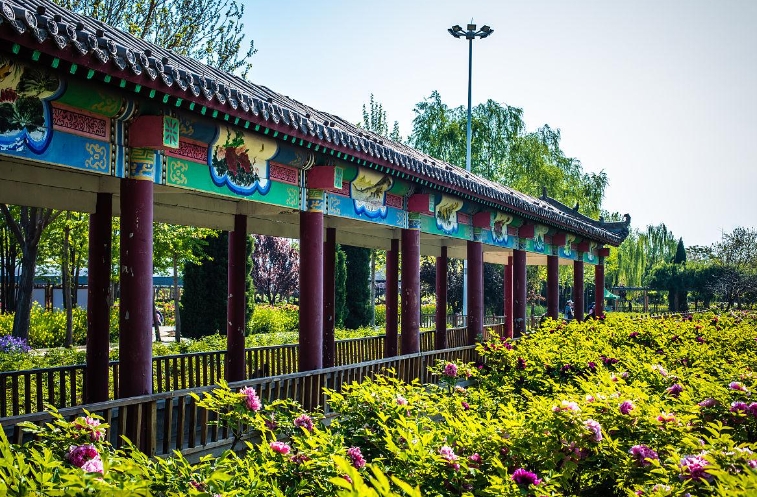 河北邢臺市柏鄉縣漢牡丹園景區票務分銷系統解決方案.png