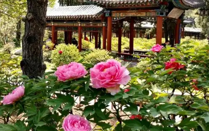山西太原?晉祠牡丹園景區電子票自動分賬管理系統 6 大功能1.png