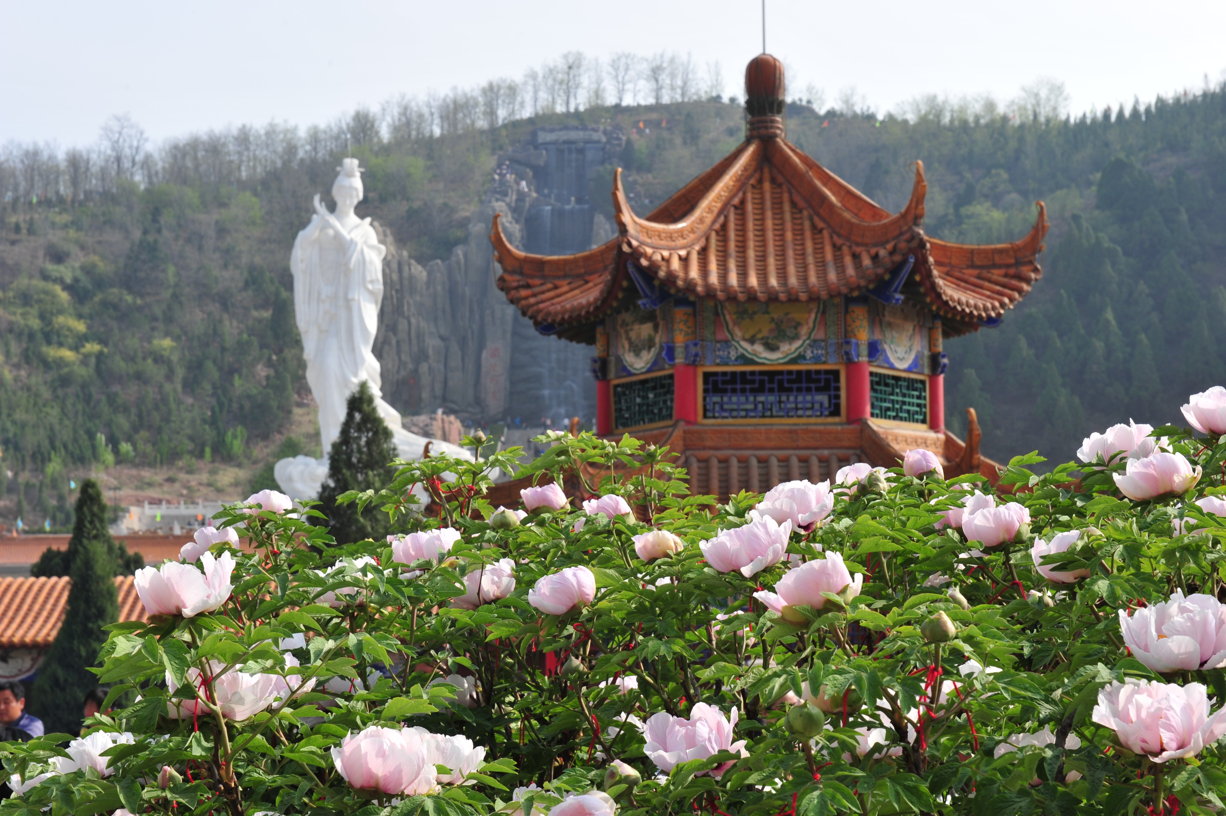 山西古縣牡丹旅游景區電子票綜合業態管理系統介紹.jpeg