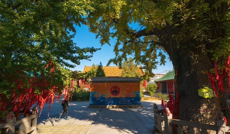 北京潭柘寺景區檢票閘機管理系統價格.png