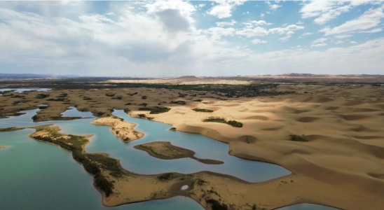 內蒙烏海湖景區多業態管理系統多少錢.png