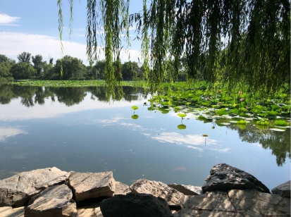 北京圓明園景區(qū)電子門票管理系統(tǒng)多少錢.png