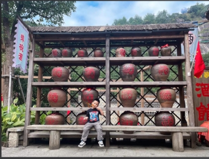 湖北大石門仙瑕小鎮多業態管理系統解決方案.png