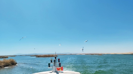 烏海文旅集團烏海湖電子票系統價格.png