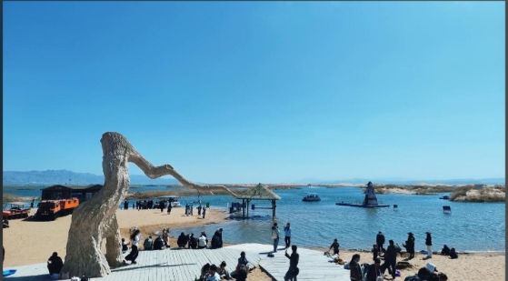 烏海文旅集團烏海湖電子票系統價格1.png