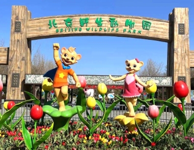 北京野生動物園智能導覽系統(tǒng)解決方案1.png