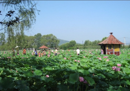 大連千年古蓮園景區綜合業態管理系統多少錢1.png